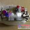 康明斯机油泵总成AR10172