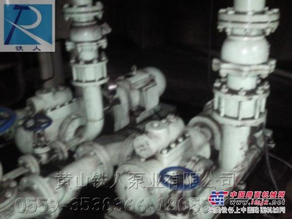 2G系列双螺杆泵2GF82-114黄山铁人泵业