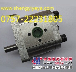齿轮泵CBN-E304，CBN-E306，CBN-E308