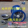 测量沥青专用仪器仪表--BESTV锥流量计DN25-2000