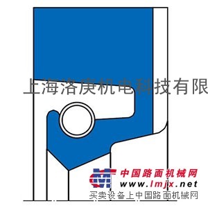 CFW R36
