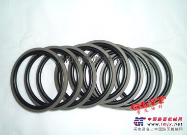 格莱圈/斯特封/导向带