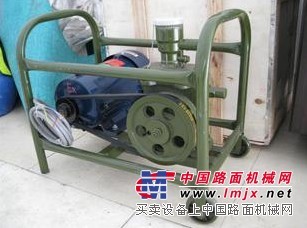 电动泵 汽油泵 加油泵 加油枪（防爆）220V 380V