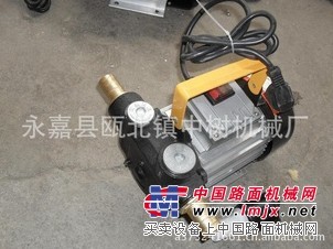 计量油泵 柴油加油泵 电动加油泵 加油枪 抽油泵 