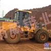 中国明威轮胎保护链制造 创质量好的品牌装载机轮胎保护链防滑链