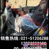 沃尔沃挖掘机配件－Volvo沃尔沃配件