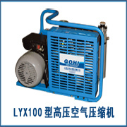 供应LYX100迷你型气密性检测专用高压空气压缩机