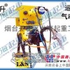 大吨位气动葫芦价格【龙海起重定制】，龙升牌气动环链葫芦现货