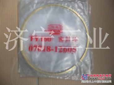 供应TY160密封环
