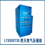 LYX500呼吸高压空气压缩机有限公司