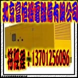 出租南开发电机出租 柴油发电机租赁13701256086