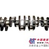 供应CATERPILLAR卡特彼勒曲轴,型号 3304