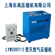 LYW200T12家用天然气压缩机促销到底 