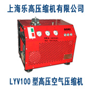 LYV100型氣密性檢測專用高壓空氣壓縮機哪裏買