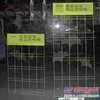 供应优质背网