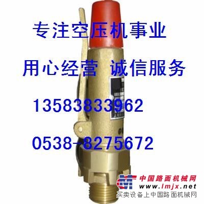 89728559、90AR909登福GD安全阀