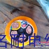 供应耐油拖链电缆TRVV