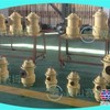 三螺杆泵HSJ120-46、液压油泵