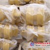 供应山推支重轮