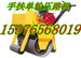 供应小型压路机15376568019