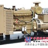 出租河南出租发电机，河南发电机租赁18201648989