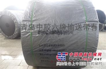 聚酯输送带