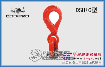 DSH+C万向旋转吊环，卢森堡吊索具