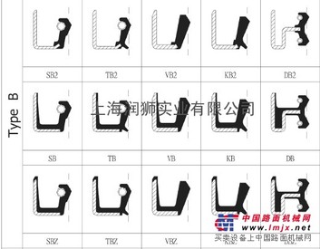 SB,TB,VB,KB,DB,SBZ,TBZ大直径骨架油封