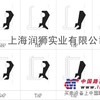 SBP,TBP,VBP,KBP,SAP大型骨架油封
