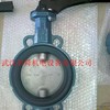依博罗蝶阀Z011-A DN100