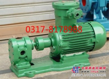 供应移动式齿轮泵便携式齿轮泵小流量齿轮泵输油泵高压泵