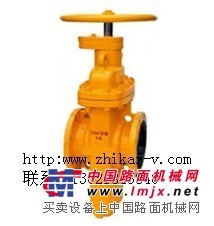专业生产天然气平板闸阀