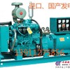 出租邢台发电机【低油耗】发电机出租