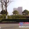 浙江道路路基排水板
