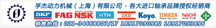 NSK轴承UCFL216-302D1