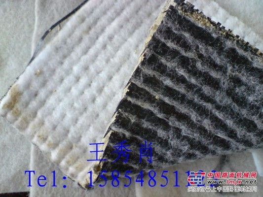 供应绵阳膨润土防水毯 国标产品 价格
