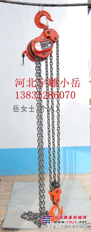 DHP环链电葫芦群吊使用由配电箱统一控制宇雕爬架公司