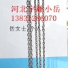 DHP环链电葫芦群吊使用由配电箱统一控制宇雕爬架公司