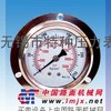供应带边盘装耐震压力表