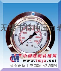 供应带边盘装耐震压力表