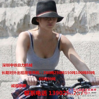 淡水惠州东莞深圳珠海履带吊出租280-50吨
