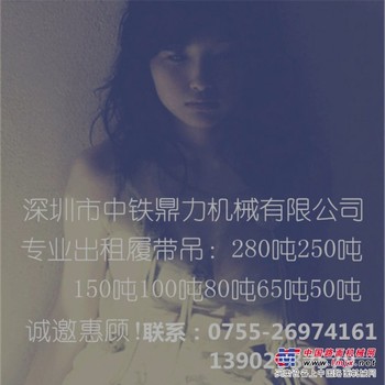 湛江汕头汕尾阳江履带吊出租250吨150吨100吨80吨50