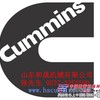 供应康明斯皮带 皮带大全3101314/3103837现货