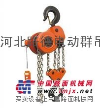 20吨4米群吊电动葫芦-环链电动环链