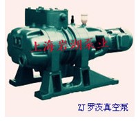 供应ZJ型罗茨式真空泵系列