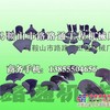 供应宝马格BF223摊铺机叶轮、履带板、链轨