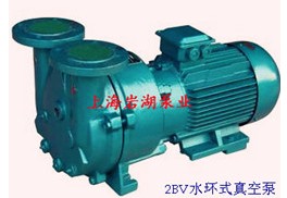 供应2BV型水环真空泵系列
