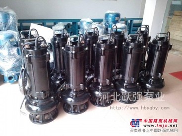 QW(WQ)型潜污泵 潜污泵哪家好