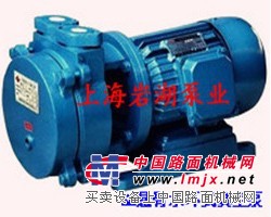 供应SK型悬臂式真空泵系列