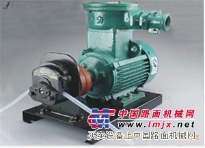 杰恒JL-VI/153Yx/253Yx交流防爆蠕动泵